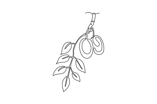 Single one line drawing pile healthy organic marula fruit for orchard logo identity. Freshness core ingredients concept for fruit icon. Modern continuous line draw design graphic vector illustration