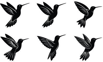 Obraz premium Flying Hummingbird silhouette vector set