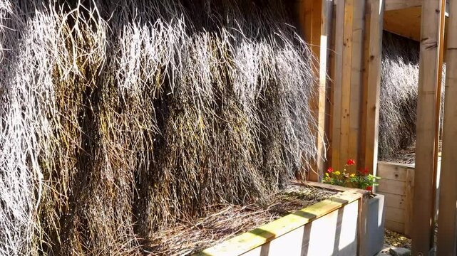 Brine graduation tower; pump of mineral waters, background of thorn branches. Spa park in Rabka