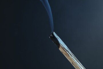 Smoldering palo santo stick against grey background, closeup