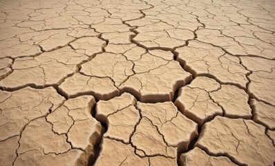 Dry, cracked earth surface pattern