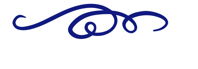 Hand-drawn Calligraphy Flourishes elegant text divider for invitations
