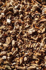 Exploring the Textured Beauty of Organic Wood Chips in a Sustainable Gardening Environment During the Warm Season