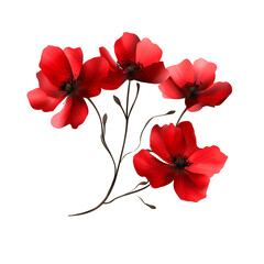 red hibiscus flowers