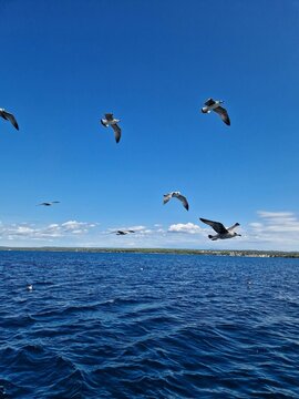 sea,sun,nature,blue sea,summer,water,sky,blue,blue