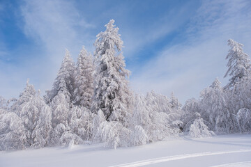 Winter snow-covered trees in the Ural mountains