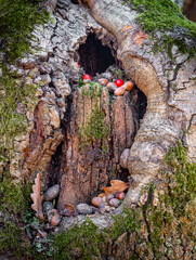  A close-up of a hollowed-out tree trunk filled with acorns, red berries, and moss, creating a natural woodland scene.