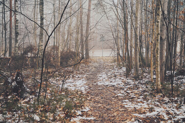 leśna ścieżka ,mgła  © Marcin Łazarczyk