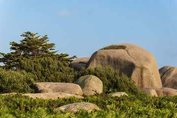 rocks and boulders located on Renote Island in the commune of Tr&eacute;gastel, on The Pink Granite Coast in Brittany, France