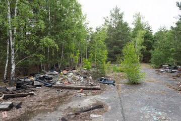 	
Illegal entsorgter Sperrmüll im Wald	
