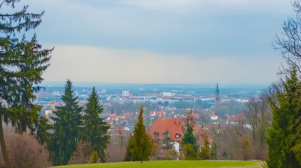 Fototapeta premium City panorama view from above. Peaceful urban scene framed by evergreen trees and bare branches on an overcast day for travel, blog or stock