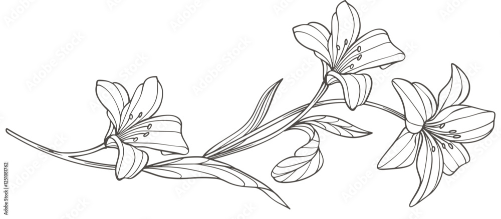 Wall mural Sketch Floral Botany Collection. flower drawings. Black and white with line art on white backgrounds. Hand Drawn Botanical Illustrations. Vector eps