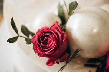 white rose on a cake