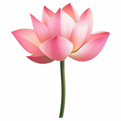 Elegant pink lotus flower in full bloom, sacred aquatic plant with delicate petals, realistic botanical illustration isolated on transparent background. Generative Ai.