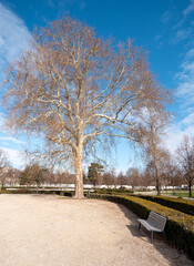 The Presidential Garden is also beautiful in winter.