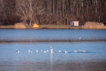 Veľký Draždiak is a lake and natural swimming pool in Petržalka, Bratislava. As a natural summer swimming pool, it was created after gravel mining and deepening of the original water surface.