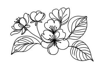 Hand drawn cherry blossom. Sakura branch with flower line art. Vector illustration