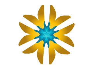 yellow flower isolated on white