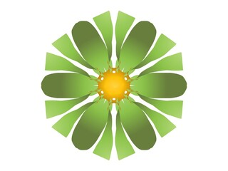 Green flower isolated with white background 
