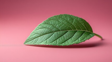 Green Future in stylized bold green text