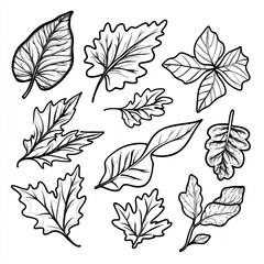 Charming Autumn Leaves Simple Shapes for Coloring Book Pages