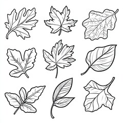 Fototapeta premium Charming Autumn Leaves Simple Shapes for Coloring Book Pages