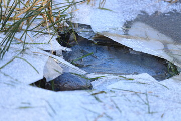 Bei Wasser das gefroren ist wächst Gras nach oben