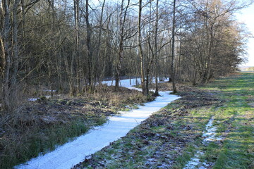 Kleines Biotop bei Rutesheim das im Winter gefroren ist