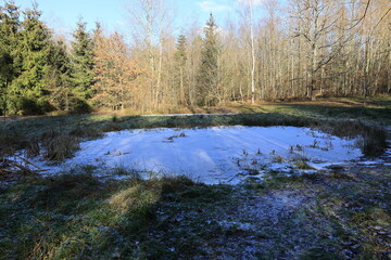 Kleines Biotop bei Rutesheim das im Winter gefroren ist