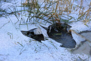 Bei Wasser das gefroren ist wächst Gras nach oben