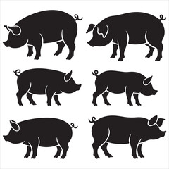 set of vector icon various PIG silhouette	
