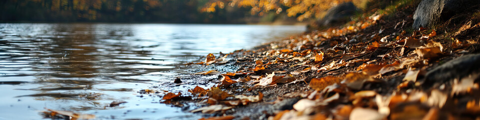Autumn Leaves on Lakeshore