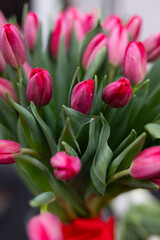 Obraz premium Bouquet of Tulips