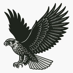 eagle in flight
