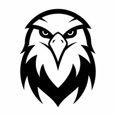 head of eagle