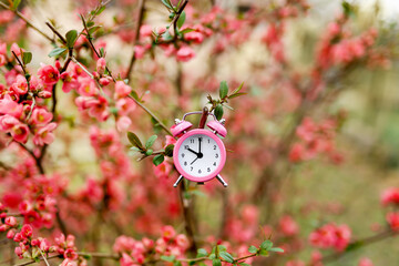 Pink alarm clock with flowers. Spring forward, springtime or daylight savings time background.