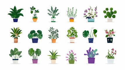 Various potted houseplants for indoor decoration, isolated against a white background. Home decor and gardening themes