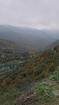 fog in the mountains