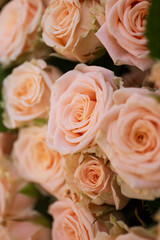 Roses bouquet