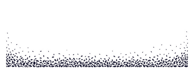 Black sesame Cumin seed Vector agriculture harvest