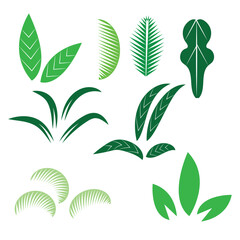 Tree leaves icon