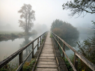 Naklejka premium Close-up of old wooden walkway or bridge, stretching into the forest.