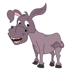 Donkey animal isolated on white background