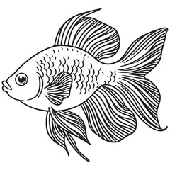 Betta fish or Siamese fighter fish in simple hand drawn line art style. Decorative goldfish veiltail. Illustration isolated on white background. Tattoo art design, coloring book page