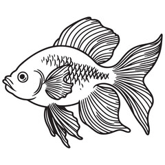Betta fish or Siamese fighter fish in simple hand drawn line art style. Decorative goldfish veiltail. Illustration isolated on white background. Tattoo art design, coloring book page