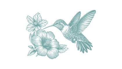 hummingbird vector   bird vector   hummingbird illustration   hummingbird silhouette   hummingbird tattoo   hummingbird engraving   hummingbird drawing © CROP MEDIA