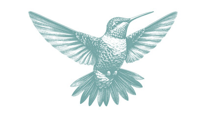 hummingbird vector | bird vector | hummingbird illustration | hummingbird silhouette | hummingbird tattoo | hummingbird engraving | hummingbird drawing