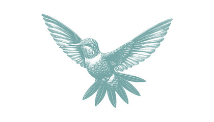 hummingbird vector | bird vector | hummingbird illustration | hummingbird silhouette | hummingbird tattoo | hummingbird engraving | hummingbird drawing