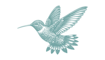 hummingbird vector | bird vector | hummingbird illustration | hummingbird silhouette | hummingbird tattoo | hummingbird engraving | hummingbird drawing