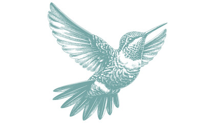 hummingbird vector | bird vector | hummingbird illustration | hummingbird silhouette | hummingbird tattoo | hummingbird engraving | hummingbird drawing